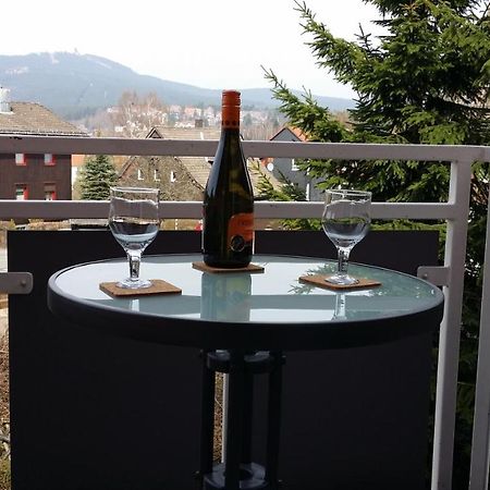 Apartments Gosch Braunlage Luaran gambar